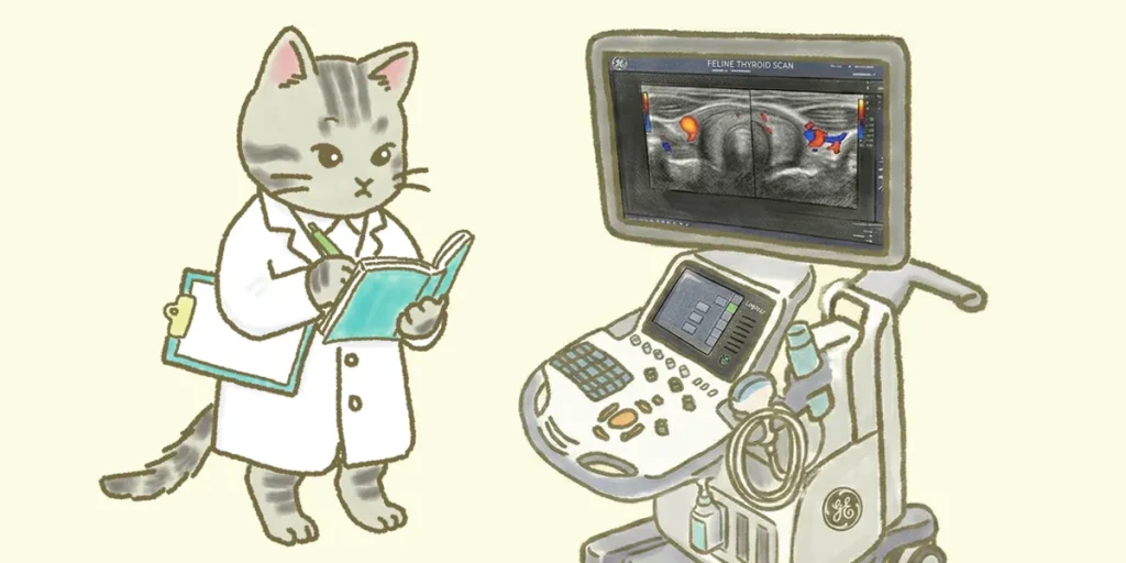 森上鍼灸整骨院はサーモグラフィやエコーで体の状態を可視化しオーダーメイド治療をご提案