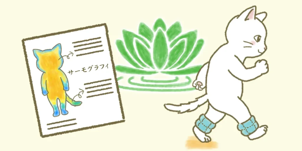 森上鍼灸整骨院独自の脊髄小脳変性症の治療システム