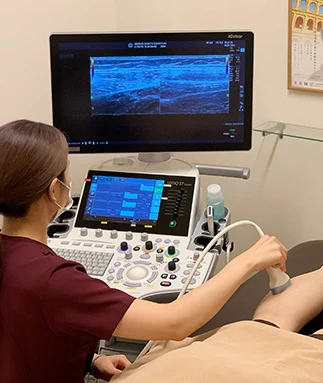 ACL Injury｜Ultrasound examination to check arterial blood flow from the knee to the brain