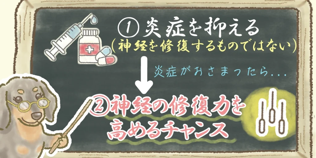 ステロイド治療の効果と、鍼治療を始めるタイミングを解説する図