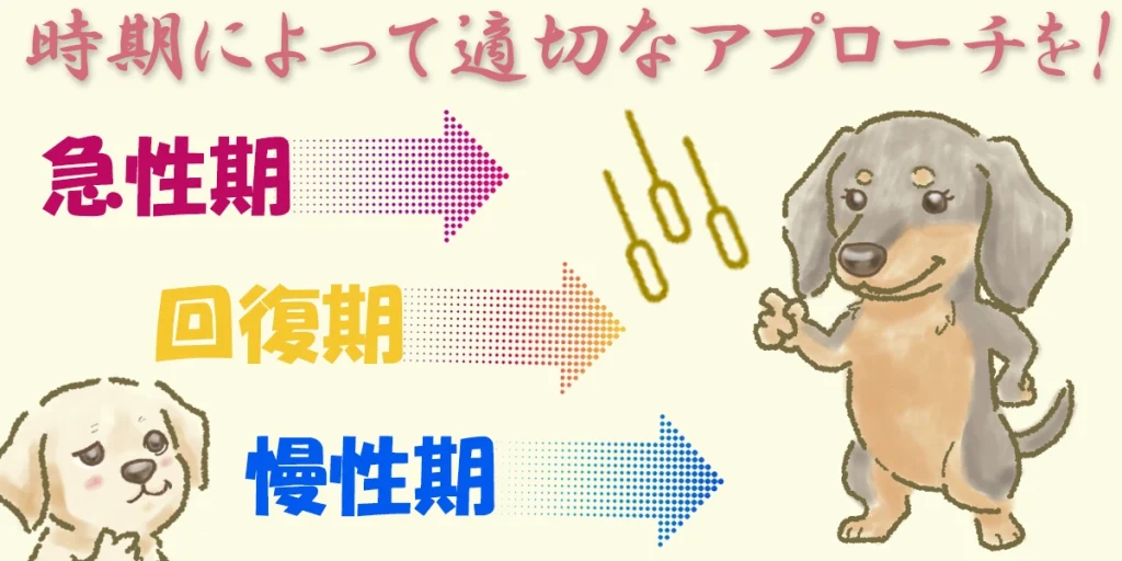 発症からの時期の図
