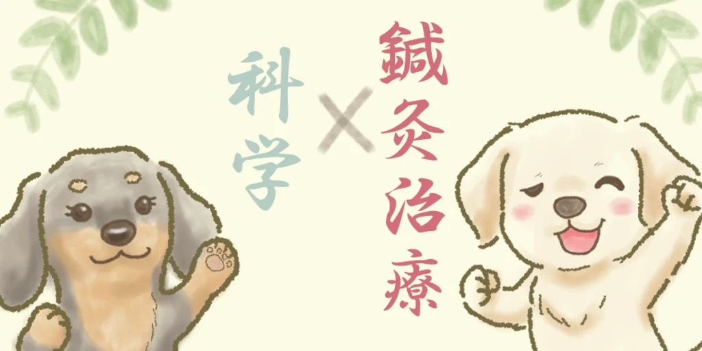 科学的な鍼灸治療アプローチを検討してみてください。